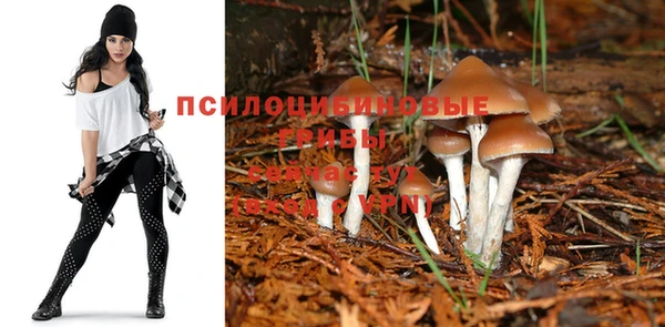 гашиш Володарск