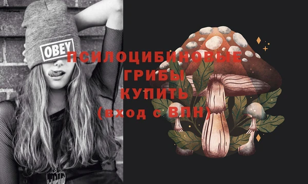 гашиш Володарск
